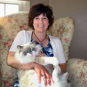 Buy Ragdoll kittens Testimonial