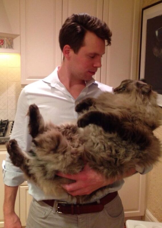 Ragdoll Cats Testimonial